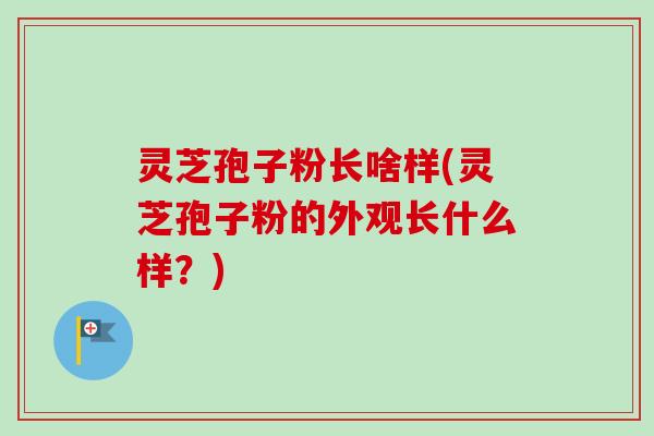 灵芝孢子粉长啥样(灵芝孢子粉的外观长什么样？)