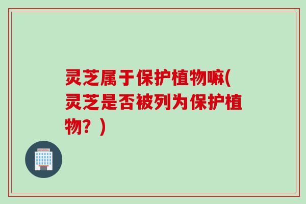 灵芝属于保护植物嘛(灵芝是否被列为保护植物？)