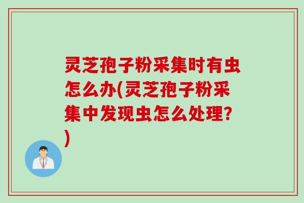灵芝孢子粉采集时有虫怎么办(灵芝孢子粉采集中发现虫怎么处理?) 灵芝孢子粉采集时有虫怎么办(灵芝孢子粉采集中发现虫怎么处理?)