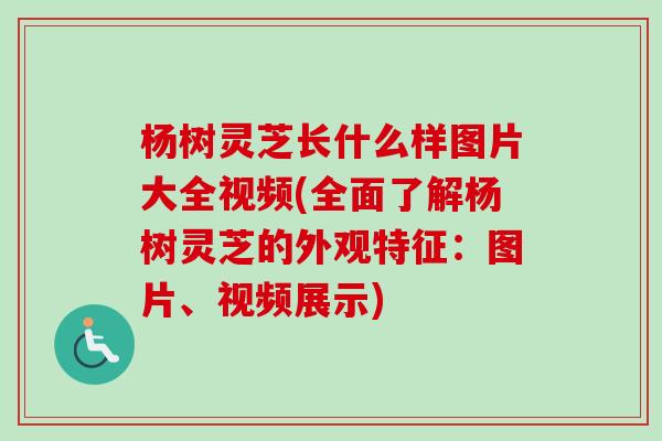 杨树灵芝长什么样图片大全视频(全面了解杨树灵芝的外观特征：图片、视频展示)