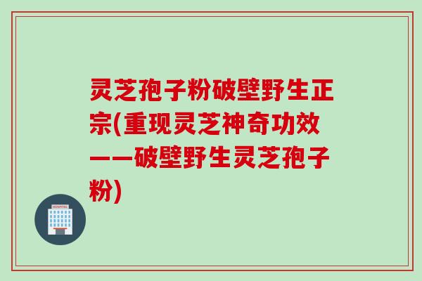 灵芝孢子粉破壁野生正宗(重现灵芝神奇功效——破壁野生灵芝孢子粉) 灵芝孢子粉破壁野生正宗(重现灵芝神奇功效——破壁野生灵芝孢子粉)