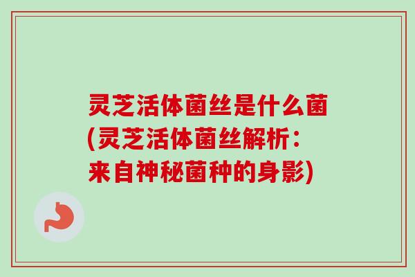 灵芝活体菌丝是什么菌(灵芝活体菌丝解析：来自神秘菌种的身影)