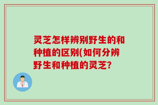 灵芝怎样辨别野生的和种植的区别(如何分辨野生和种植的灵芝？