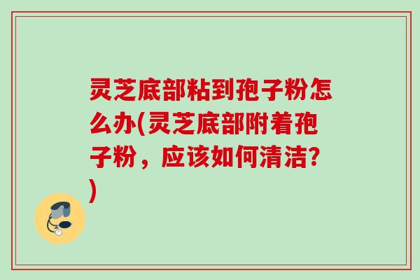 灵芝底部粘到孢子粉怎么办(灵芝底部附着孢子粉，应该如何清洁？)