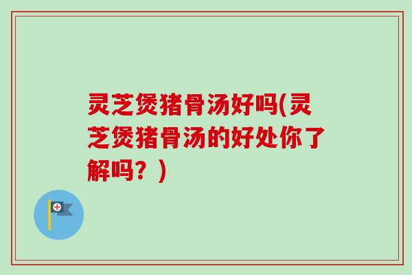灵芝煲猪骨汤好吗(灵芝煲猪骨汤的好处你了解吗？)
