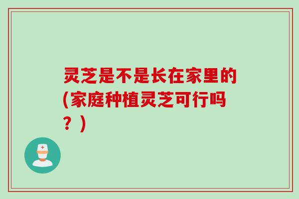 灵芝是不是长在家里的(家庭种植灵芝可行吗？)