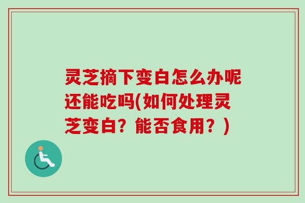 灵芝摘下变白怎么办呢还能吃吗(如何处理灵芝变白？能否食用？)