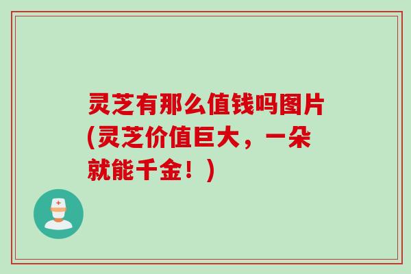 灵芝有那么值钱吗图片(灵芝价值巨大，一朵就能千金！)