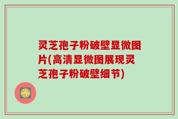 灵芝孢子粉破壁显微图片(高清显微图展现灵芝孢子粉破壁细节) 灵芝孢子粉破壁显微图片(高清显微图展现灵芝孢子粉破壁细节)