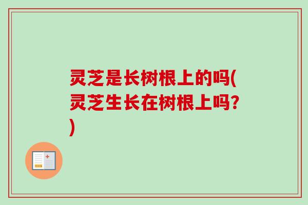 灵芝是长树根上的吗(灵芝生长在树根上吗？)