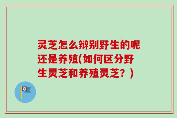 灵芝怎么辩别野生的呢还是养殖(如何区分野生灵芝和养殖灵芝？)