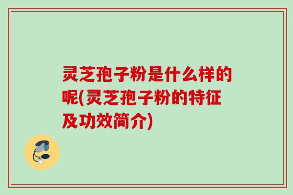 灵芝孢子粉是什么样的呢(灵芝孢子粉的特征及功效简介)