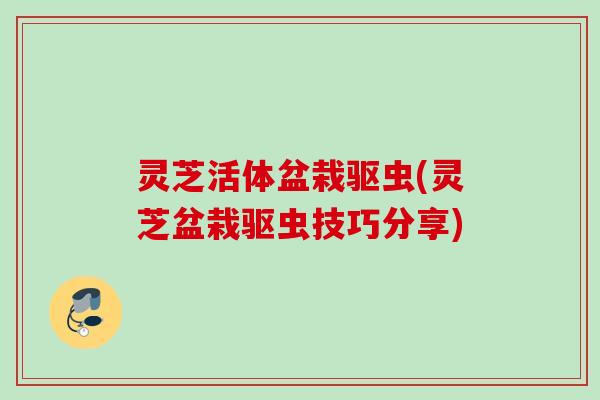 灵芝活体盆栽驱虫(灵芝盆栽驱虫技巧分享) 灵芝活体盆栽驱虫(灵芝盆栽驱虫技巧分享)