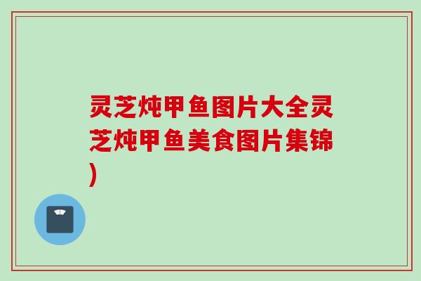 灵芝炖甲鱼图片大全灵芝炖甲鱼美食图片集锦)