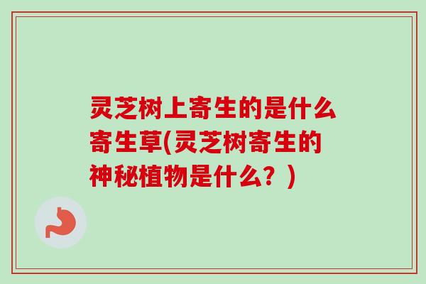 灵芝树上寄生的是什么寄生草(灵芝树寄生的神秘植物是什么?) 灵芝树上寄生的是什么寄生草(灵芝树寄生的神秘植物是什么?)