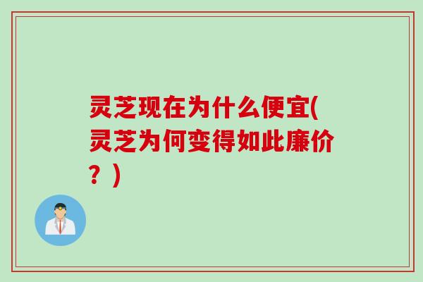 灵芝现在为什么便宜(灵芝为何变得如此廉价？)