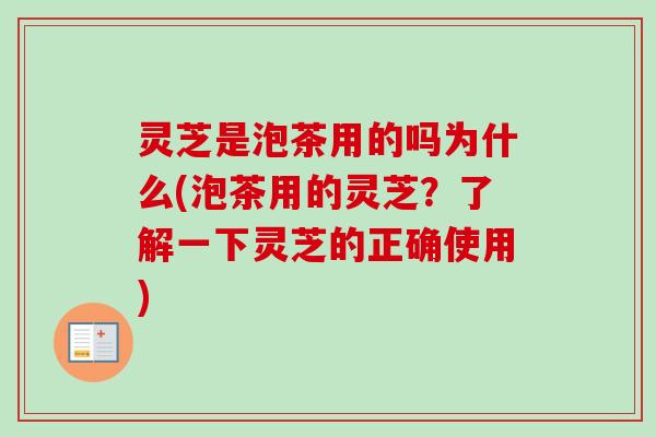 灵芝是泡茶用的吗为什么(泡茶用的灵芝?了解一下灵芝的正确使用) 灵芝是泡茶用的吗为什么(泡茶用的灵芝?了解一下灵芝的正确使用)