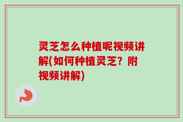 灵芝怎么种植呢视频讲解(如何种植灵芝?附视频讲解) 灵芝怎么种植呢视频讲解(如何种植灵芝?附视频讲解)