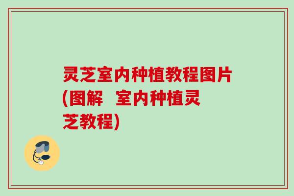灵芝室内种植教程图片(图解  室内种植灵芝教程)