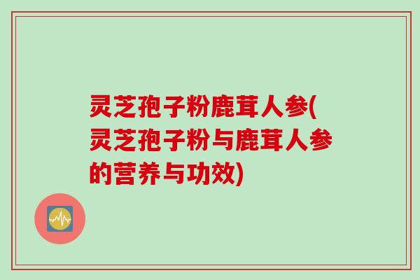 灵芝孢子粉鹿茸人参(灵芝孢子粉与鹿茸人参的营养与功效)