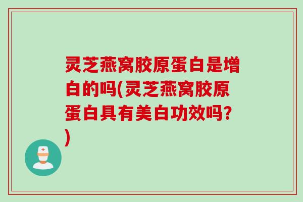 灵芝燕窝胶原蛋白是增白的吗(灵芝燕窝胶原蛋白具有美白功效吗？)
