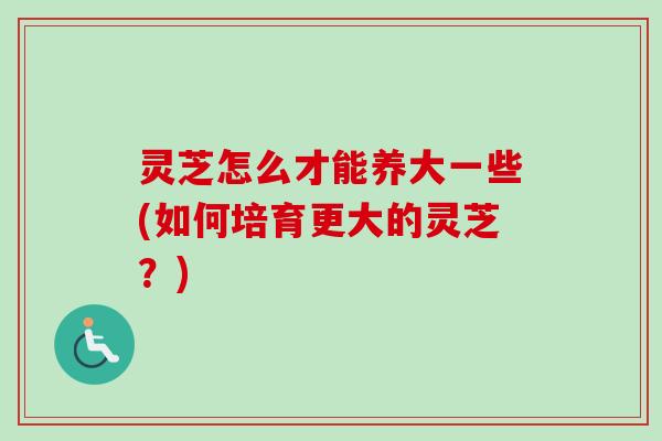 灵芝怎么才能养大一些(如何培育更大的灵芝？)