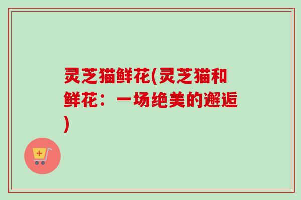 灵芝猫鲜花(灵芝猫和鲜花：一场绝美的邂逅)