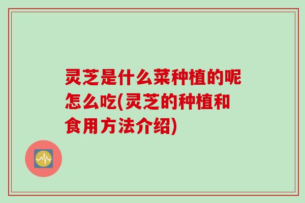 灵芝是什么菜种植的呢怎么吃(灵芝的种植和食用方法介绍)