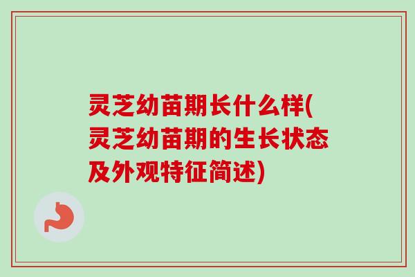 灵芝幼苗期长什么样(灵芝幼苗期的生长状态及外观特征简述) 灵芝幼苗期长什么样(灵芝幼苗期的生长状态及外观特征简述)
