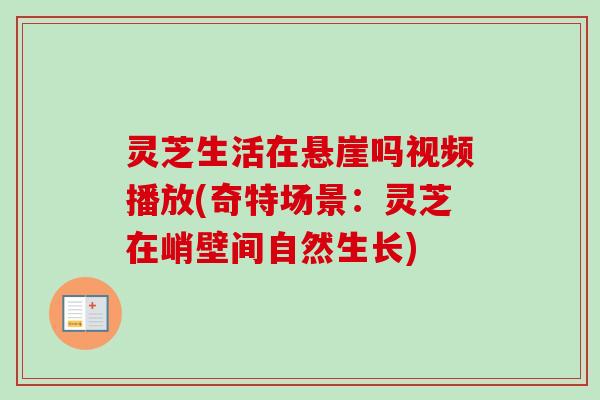 灵芝生活在悬崖吗视频播放(奇特场景：灵芝在峭壁间自然生长)