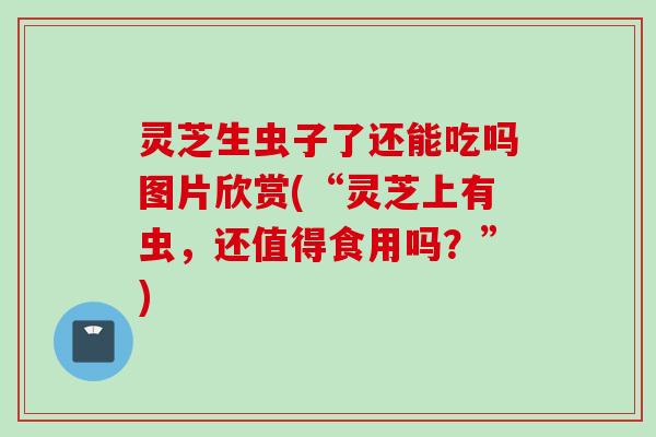 灵芝生虫子了还能吃吗图片欣赏(“灵芝上有虫，还值得食用吗？”)