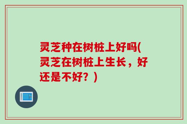 灵芝种在树桩上好吗(灵芝在树桩上生长，好还是不好？)