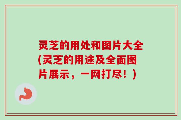 灵芝的用处和图片大全(灵芝的用途及全面图片展示,一网打尽!) 灵芝的用处和图片大全(灵芝的用途及全面图片展示,一网打尽!)