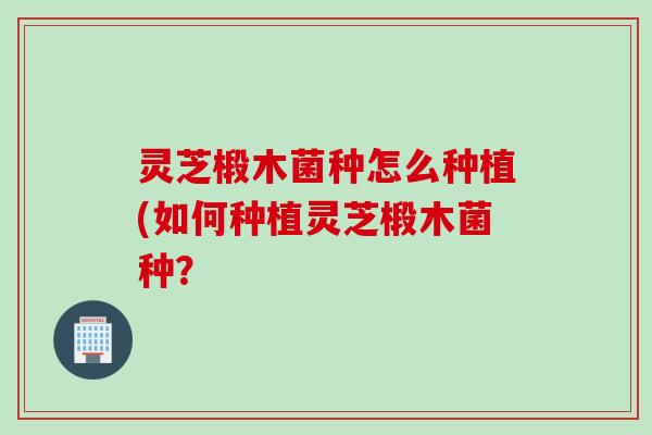 灵芝椴木菌种怎么种植(如何种植灵芝椴木菌种？