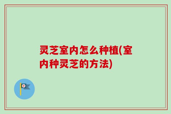 灵芝室内怎么种植(室内种灵芝的方法)