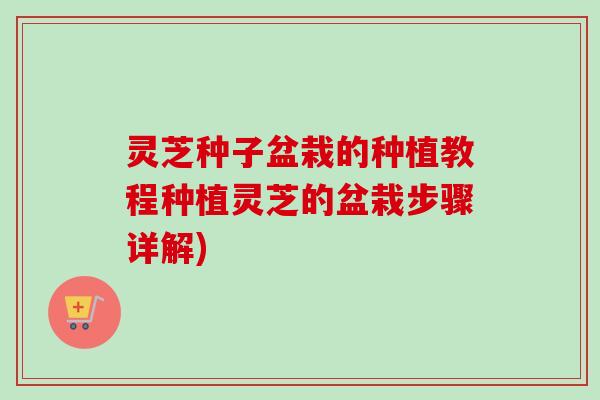 灵芝种子盆栽的种植教程种植灵芝的盆栽步骤详解)