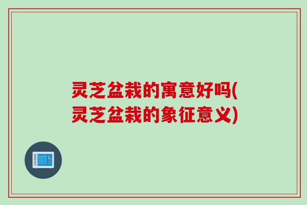 灵芝盆栽的寓意好吗(灵芝盆栽的象征意义)