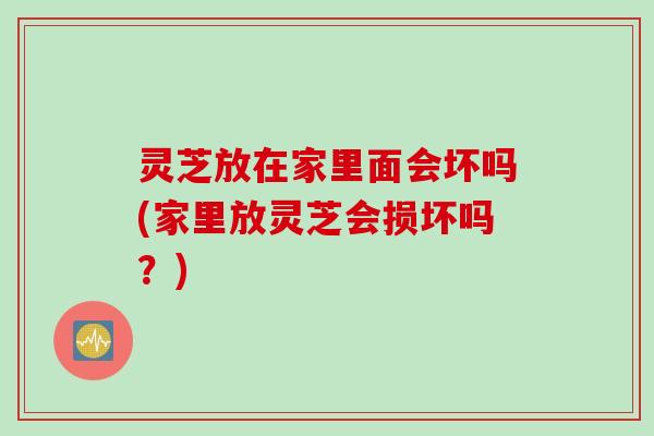 灵芝放在家里面会坏吗(家里放灵芝会损坏吗？)