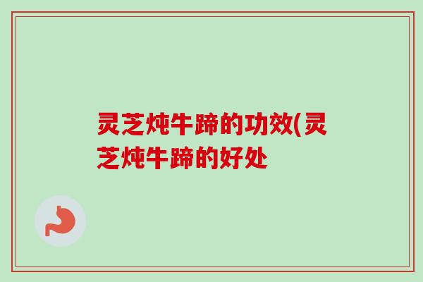 灵芝炖牛蹄的功效(灵芝炖牛蹄的好处