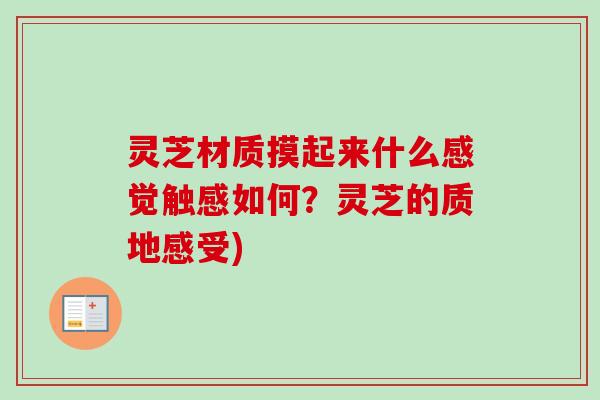 灵芝材质摸起来什么感觉触感如何？灵芝的质地感受)
