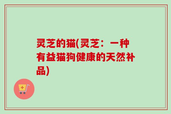 灵芝的猫(灵芝：一种有益猫狗健康的天然补品)