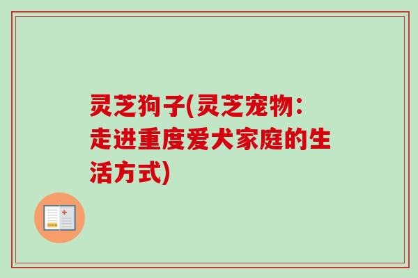灵芝狗子(灵芝宠物:走进重度爱犬家庭的生活方式) 灵芝狗子(灵芝宠物:走进重度爱犬家庭的生活方式)