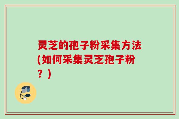 灵芝的孢子粉采集方法(如何采集灵芝孢子粉？)