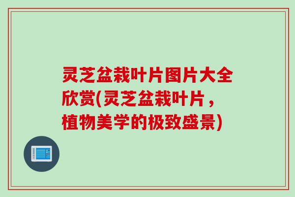 灵芝盆栽叶片图片大全欣赏(灵芝盆栽叶片，植物美学的极致盛景)