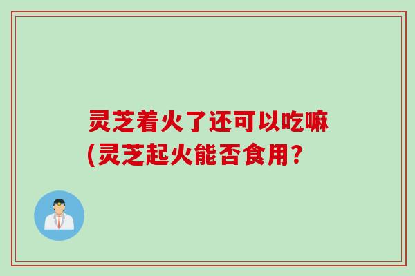 灵芝着火了还可以吃嘛(灵芝起火能否食用？