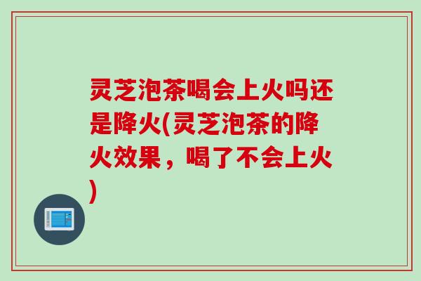 灵芝泡茶喝会上火吗还是降火(灵芝泡茶的降火效果，喝了不会上火)