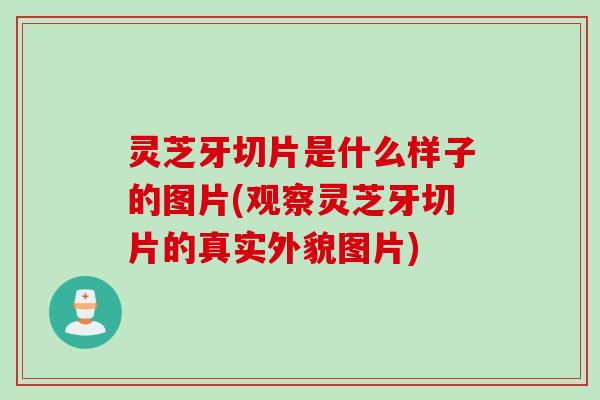 灵芝牙切片是什么样子的图片(观察灵芝牙切片的真实外貌图片)