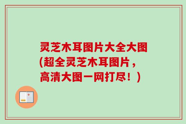灵芝木耳图片大全大图(超全灵芝木耳图片，高清大图一网打尽！)