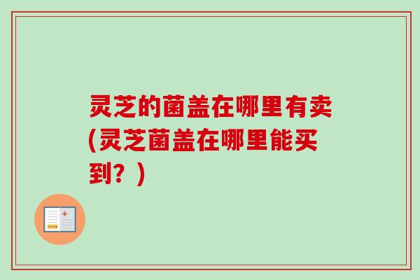 灵芝的菌盖在哪里有卖(灵芝菌盖在哪里能买到？)