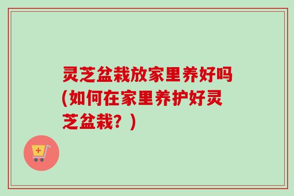 灵芝盆栽放家里养好吗(如何在家里养护好灵芝盆栽？)